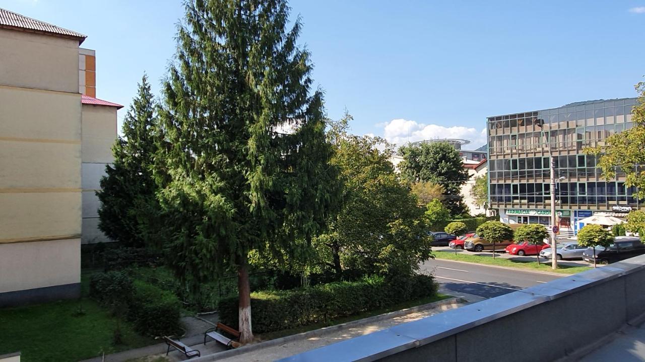 Apartament Cosbuc バイア·マーレ エクステリア 写真