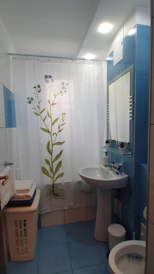 Apartament Cosbuc バイア·マーレ エクステリア 写真