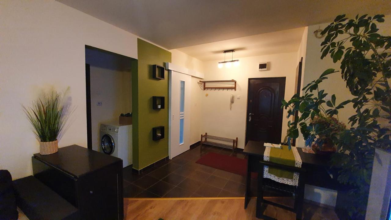 Apartament Cosbuc バイア·マーレ エクステリア 写真