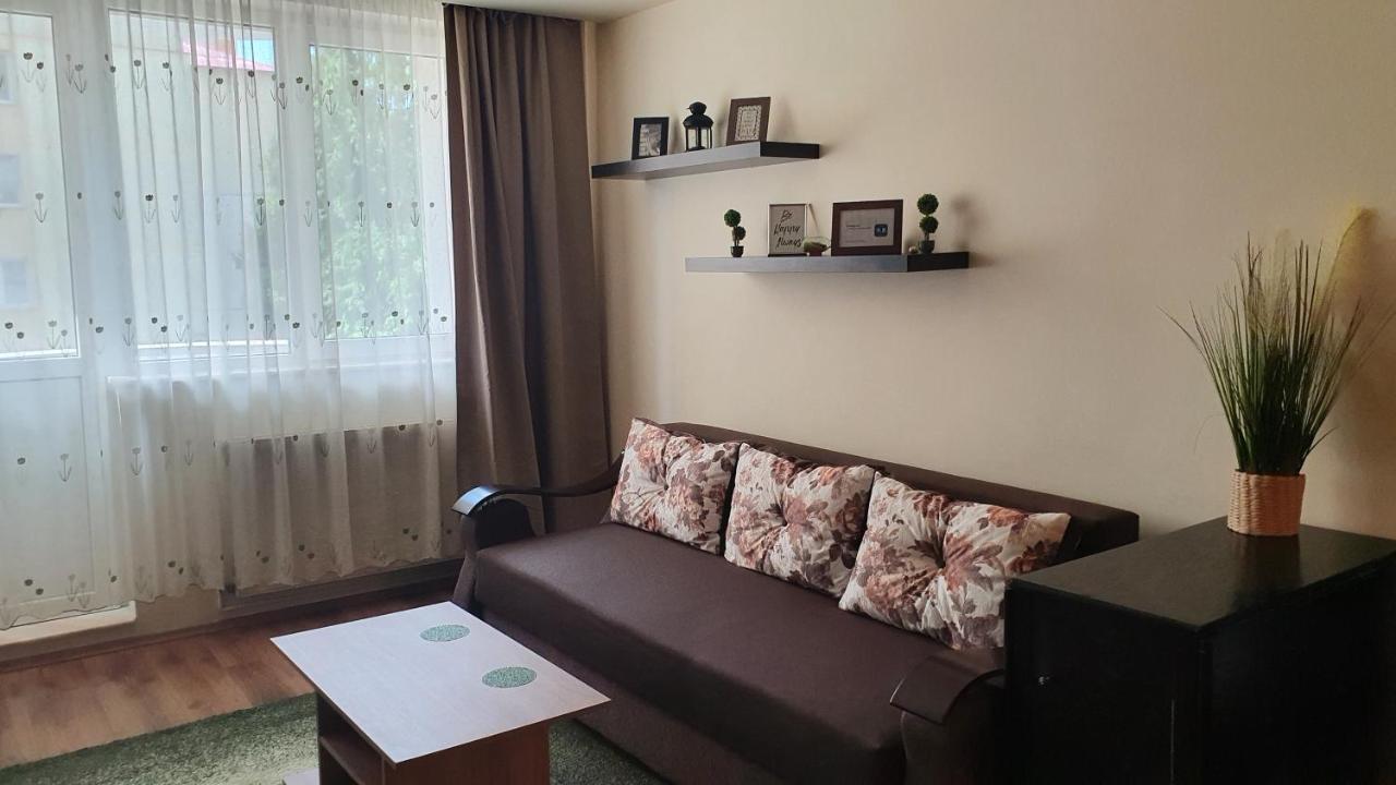 Apartament Cosbuc バイア·マーレ エクステリア 写真