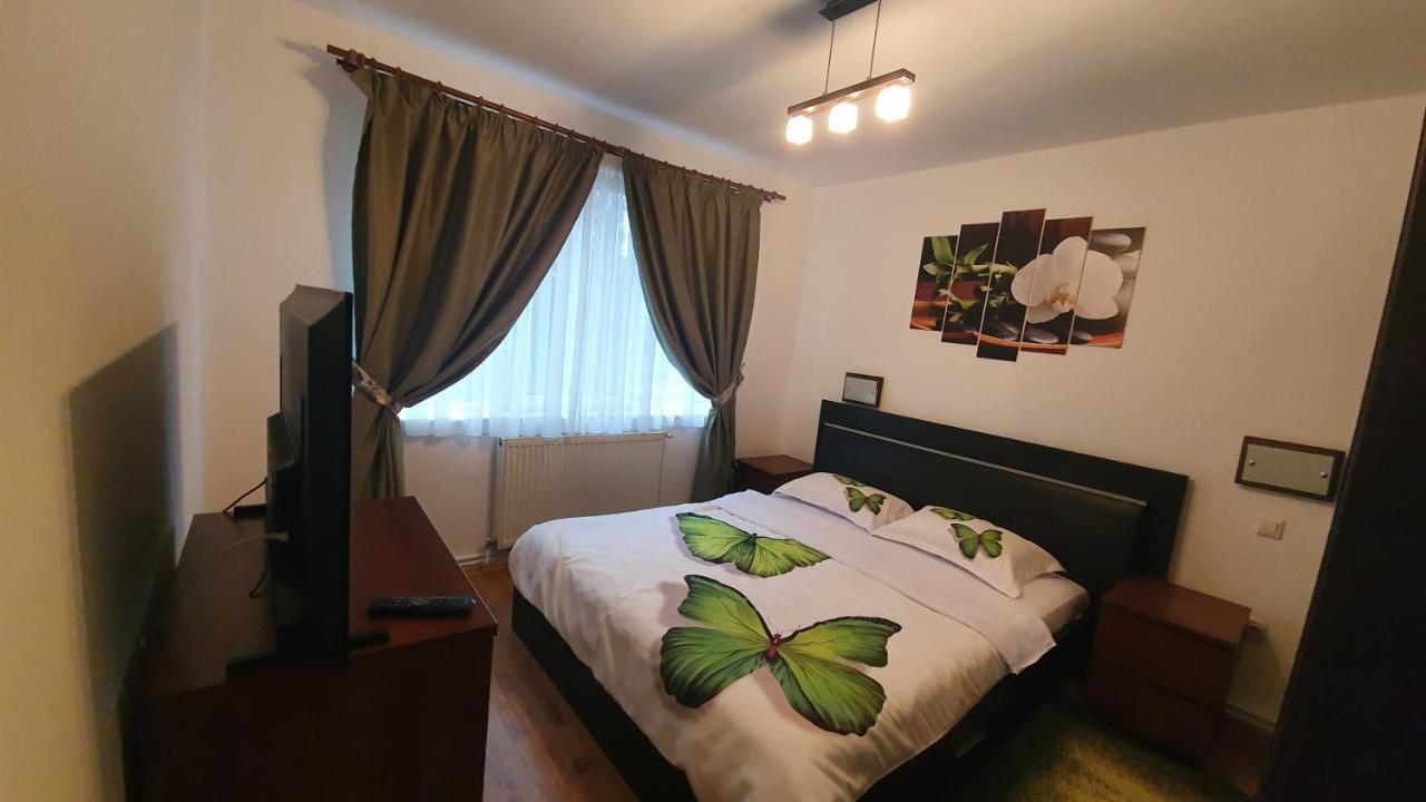 Apartament Cosbuc バイア·マーレ エクステリア 写真